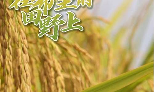 新2会员手机版：白菜网平台(白菜网平台排行榜)